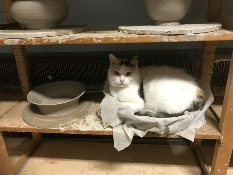 Misy i wazy ceramiczne